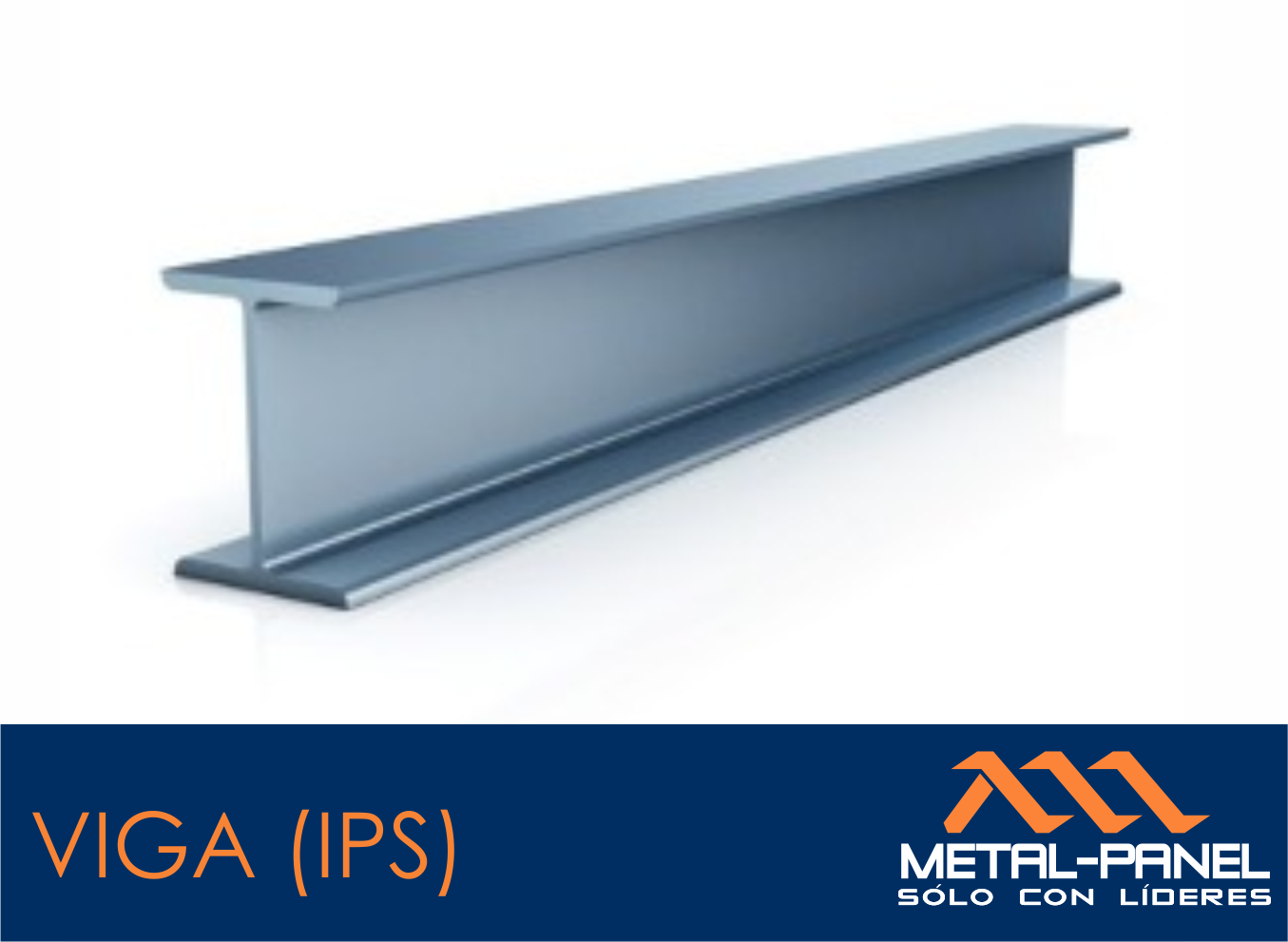 viga ips tijuana