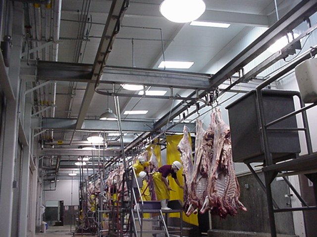 procarnes5