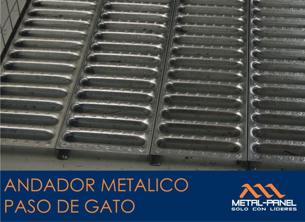 paso gato 1
